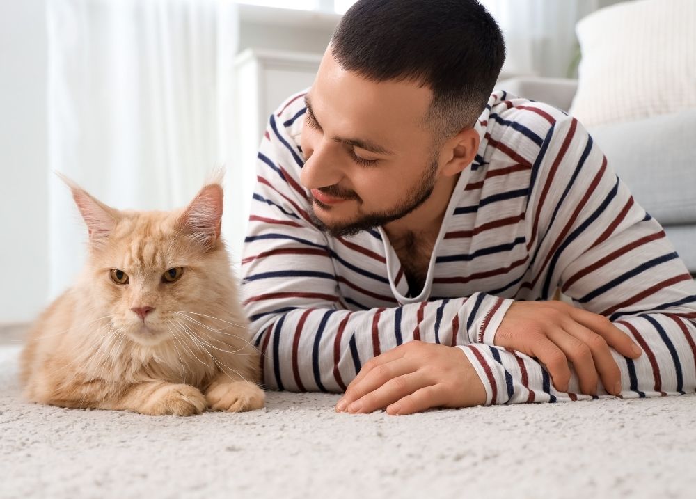 Cat listening to owner