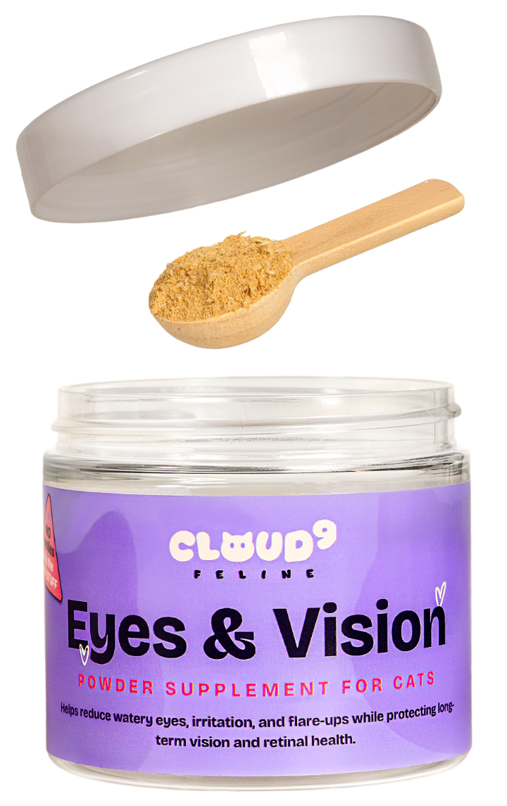 Eyes & Vision