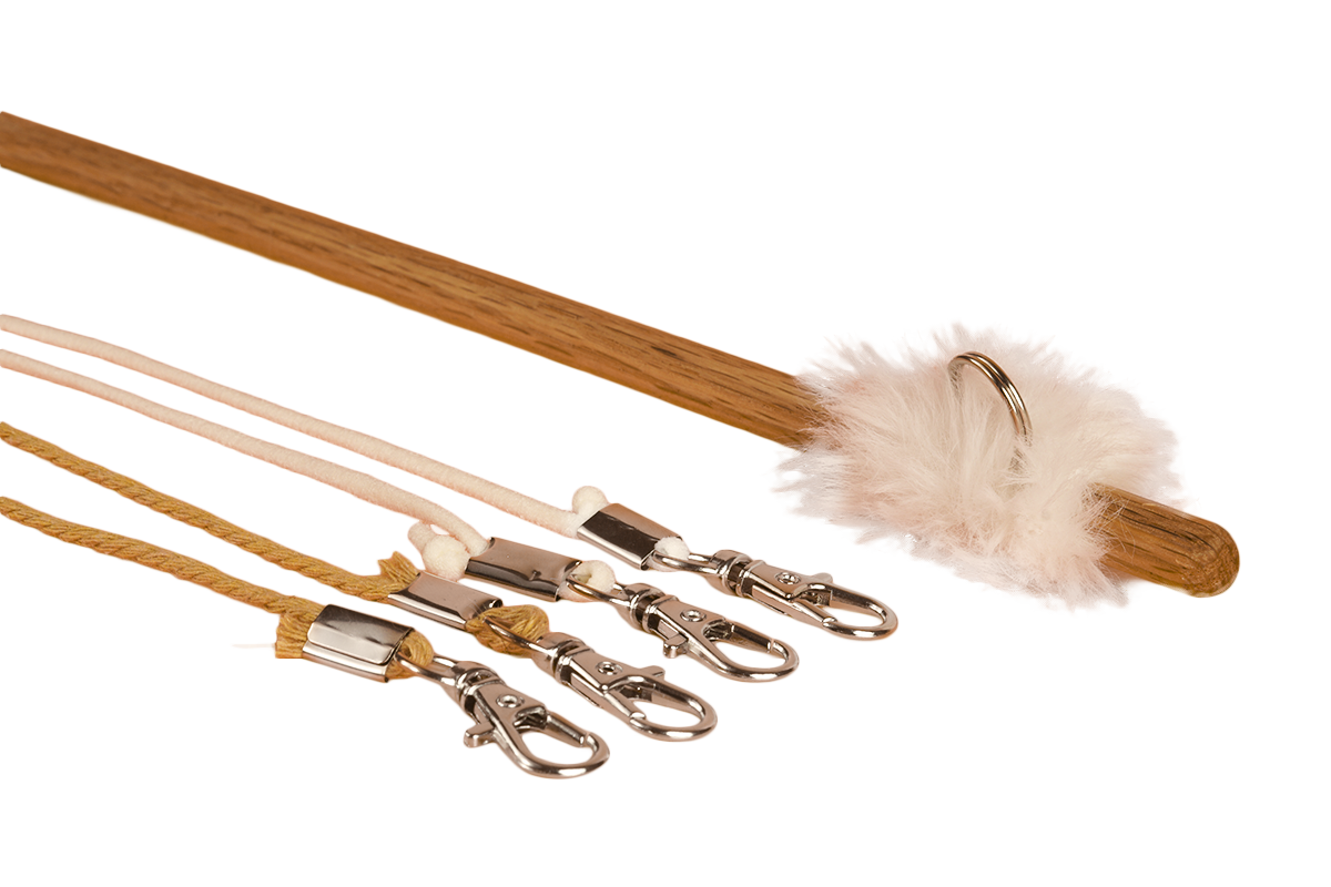 Cat Wand Set